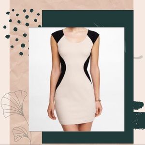 NWT Express Hourglass Fitted Ponte Knit Mini Dress